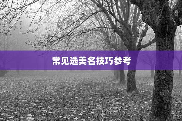 常见选美名技巧参考
