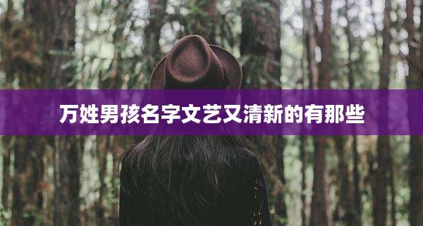万姓男孩名字文艺又清新的有那些