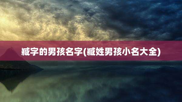 臧字的男孩名字(臧姓男孩小名大全)