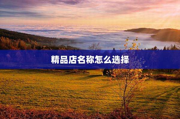 精品店名称怎么选择
