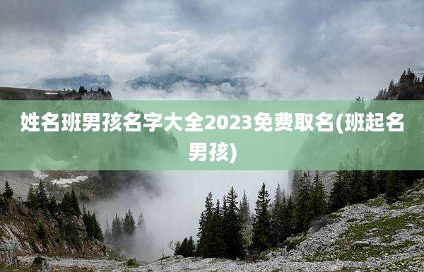 姓名班男孩名字大全2023免费取名(班起名男孩)