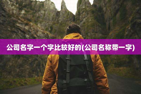 公司名字一个字比较好的(公司名称带一字)