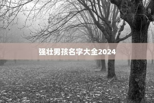 强壮男孩名字大全2024