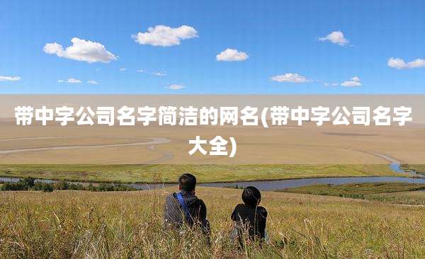 带中字公司名字简洁的网名(带中字公司名字大全)