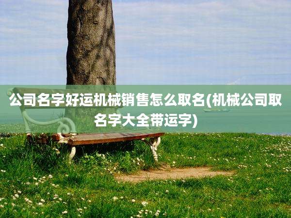 公司名字好运机械销售怎么取名(机械公司取名字大全带运字)
