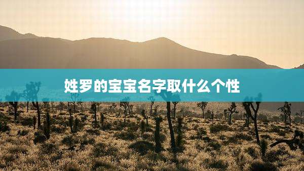 姓罗的宝宝名字取什么个性