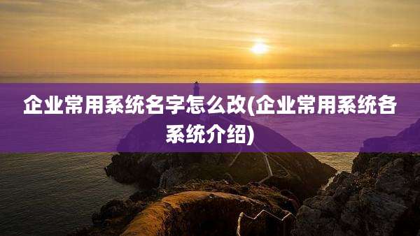 企业常用系统名字怎么改(企业常用系统各系统介绍)