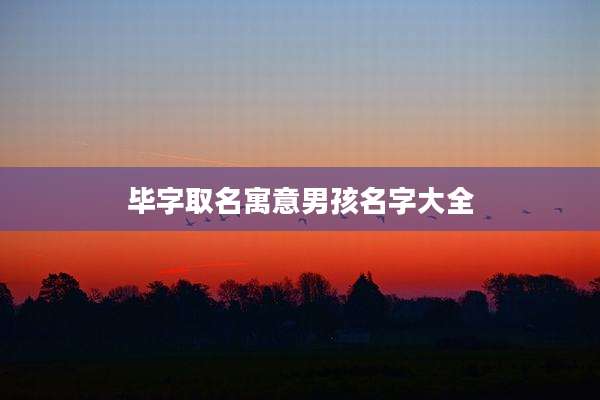 毕字取名寓意男孩名字大全