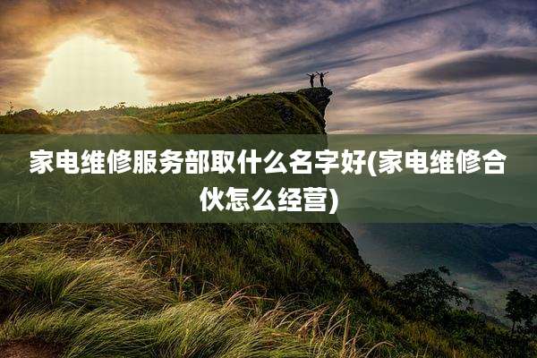 家电维修服务部取什么名字好(家电维修合伙怎么经营)