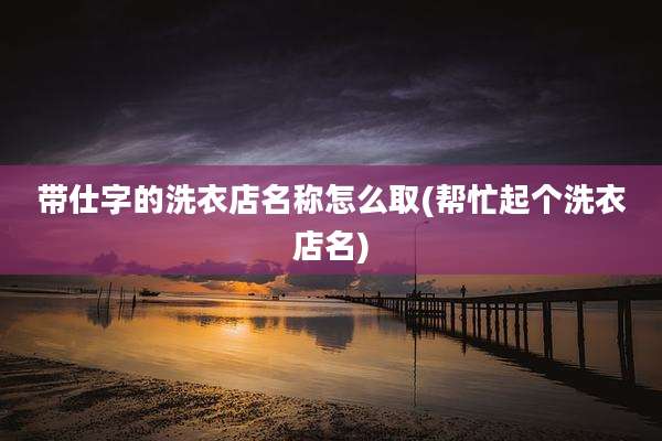 带仕字的洗衣店名称怎么取(帮忙起个洗衣店名)