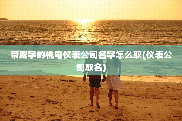 带威字的机电仪表公司名字怎么取(仪表公司取名)