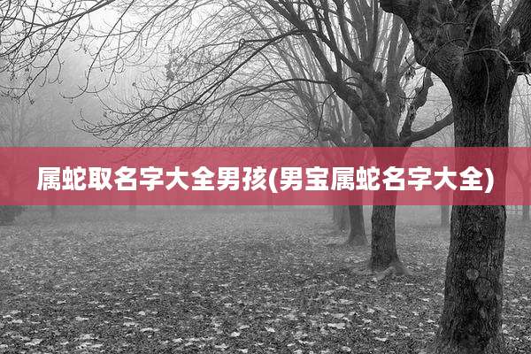 属蛇取名字大全男孩(男宝属蛇名字大全)