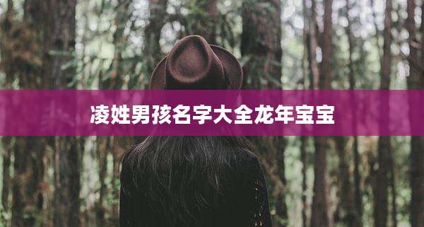 凌姓男孩名字大全龙年宝宝