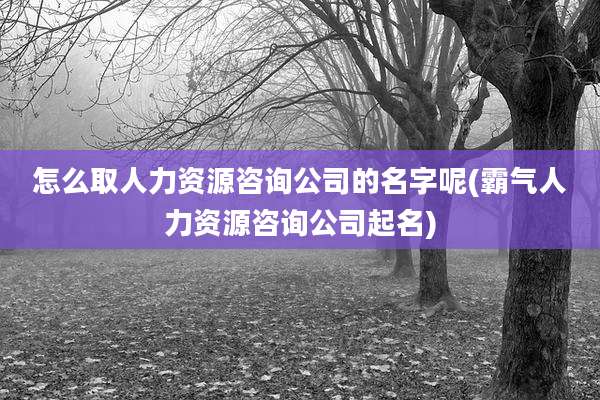 怎么取人力资源咨询公司的名字呢(霸气人力资源咨询公司起名)