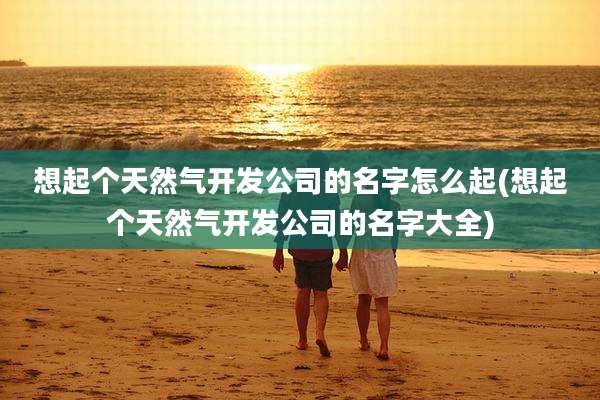 想起个天然气开发公司的名字怎么起(想起个天然气开发公司的名字大全)