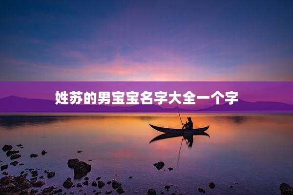 姓苏的男宝宝名字大全一个字