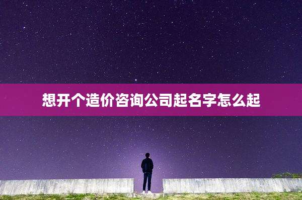 想开个造价咨询公司起名字怎么起