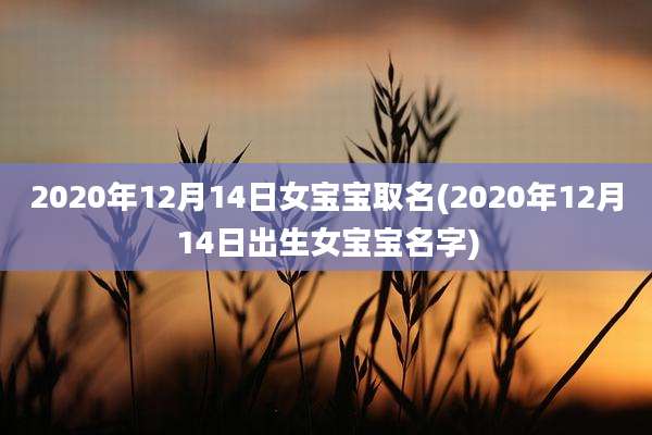 2020年12月14日女宝宝取名(2020年12月14日出生女宝宝名字)