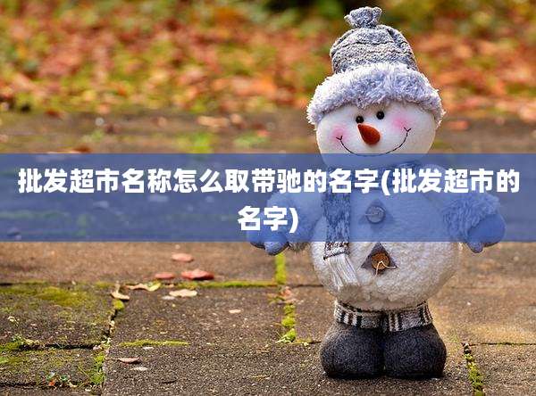 批发超市名称怎么取带驰的名字(批发超市的名字)