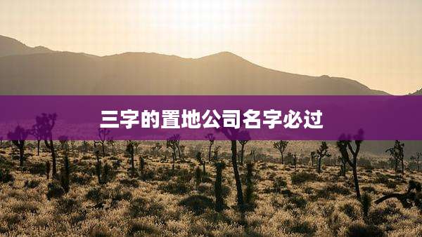 三字的置地公司名字必过
