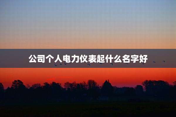 公司个人电力仪表起什么名字好