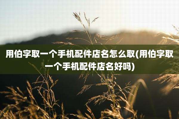 用伯字取一个手机配件店名怎么取(用伯字取一个手机配件店名好吗)
