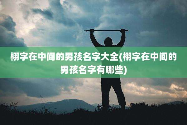 栩字在中间的男孩名字大全(栩字在中间的男孩名字有哪些)