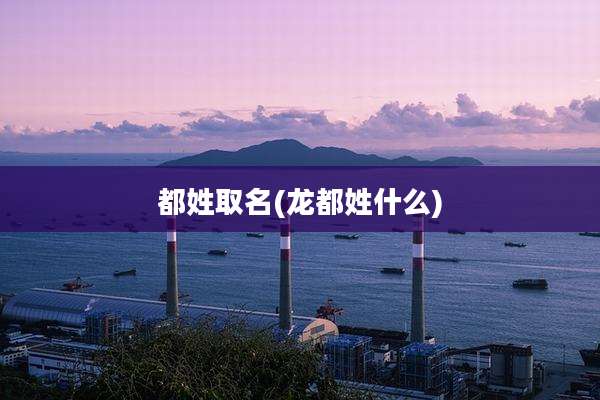 都姓取名(龙都姓什么)