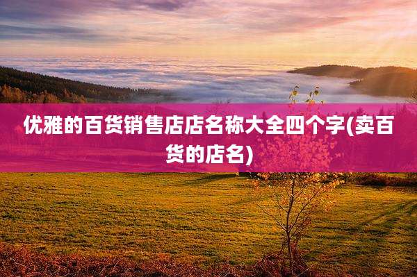 优雅的百货销售店店名称大全四个字(卖百货的店名)