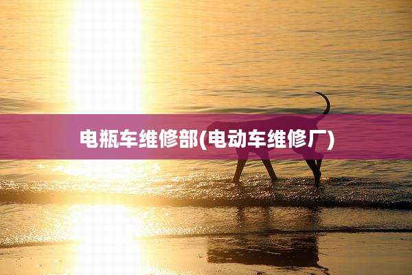 电瓶车维修部(电动车维修厂)