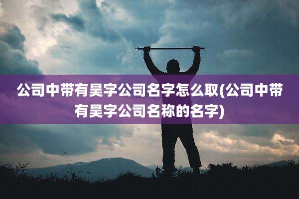 公司中带有昊字公司名字怎么取(公司中带有昊字公司名称的名字)