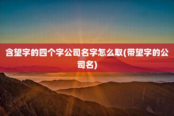 含望字的四个字公司名字怎么取(带望字的公司名)