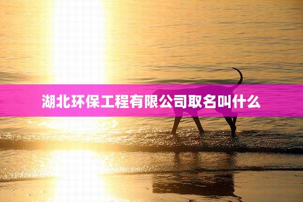 湖北环保工程有限公司取名叫什么