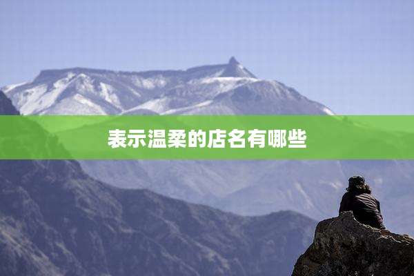 表示温柔的店名有哪些