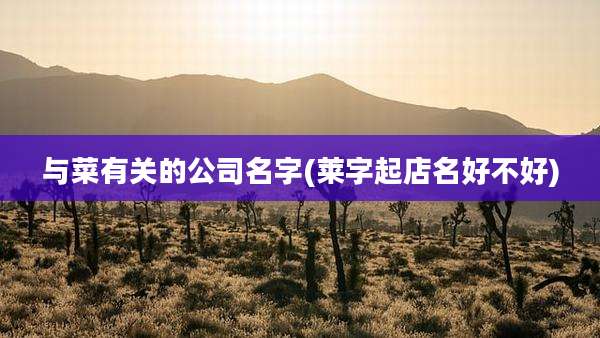 与菜有关的公司名字(莱字起店名好不好)