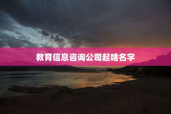教育信息咨询公司起啥名字