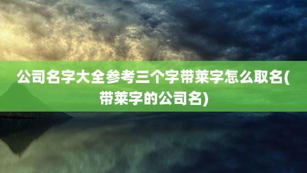 公司名字大全参考三个字带莱字怎么取名(带莱字的公司名)