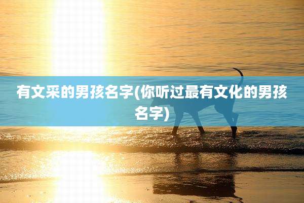 有文采的男孩名字(你听过最有文化的男孩名字)