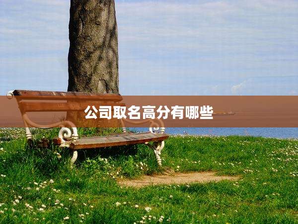 公司取名高分有哪些