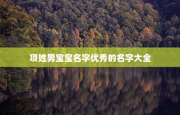 项姓男宝宝名字优秀的名字大全