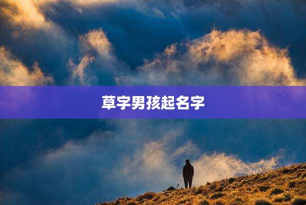 草字男孩起名字