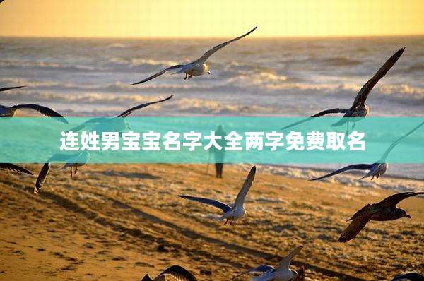 连姓男宝宝名字大全两字免费取名