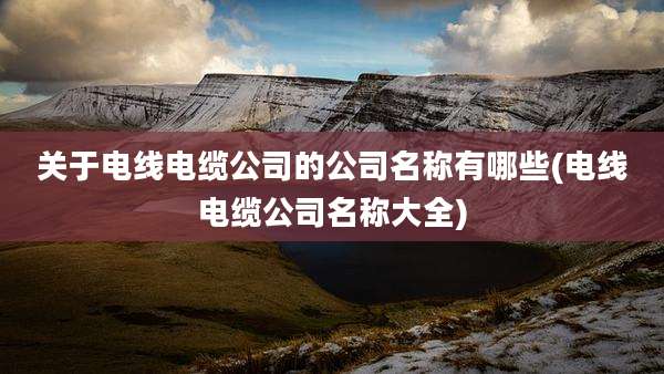 关于电线电缆公司的公司名称有哪些(电线电缆公司名称大全)
