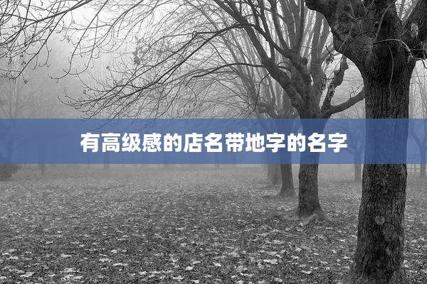 有高级感的店名带地字的名字