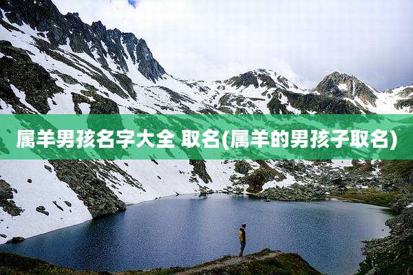 属羊男孩名字大全 取名(属羊的男孩子取名)