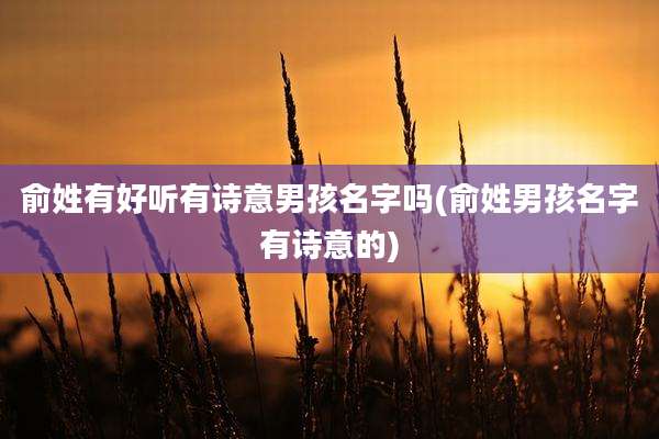 俞姓有好听有诗意男孩名字吗(俞姓男孩名字有诗意的)