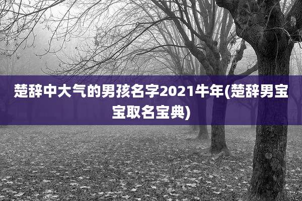 楚辞中大气的男孩名字2021牛年(楚辞男宝宝取名宝典)