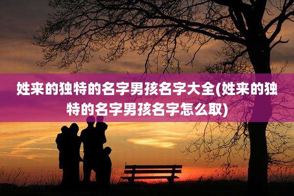 姓来的独特的名字男孩名字大全(姓来的独特的名字男孩名字怎么取)