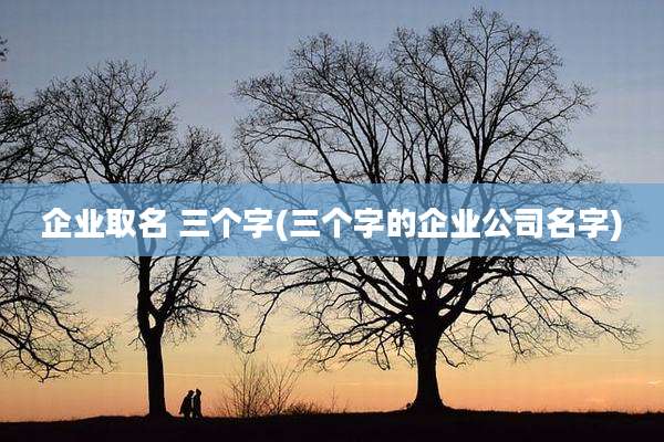 企业取名 三个字(三个字的企业公司名字)