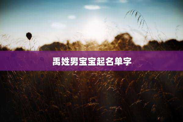 禹姓男宝宝起名单字